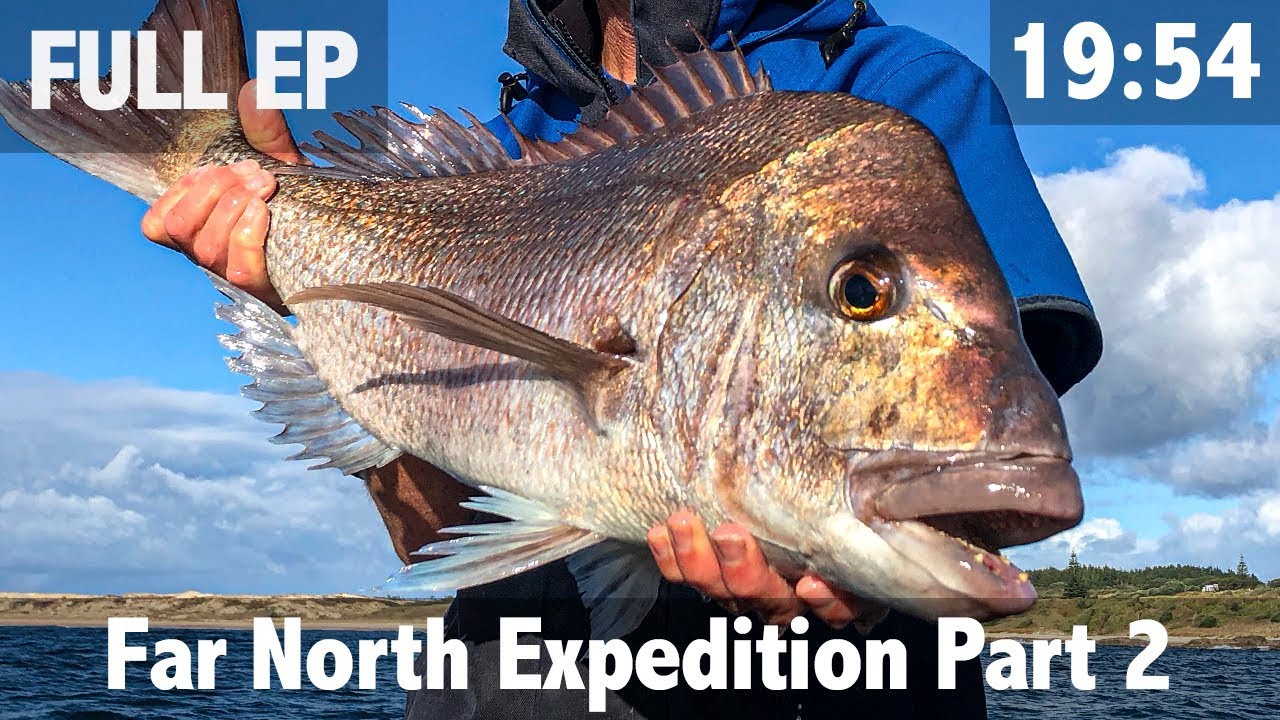 New Zealand Yellowtail Kingfish and Snapper fishing pt2