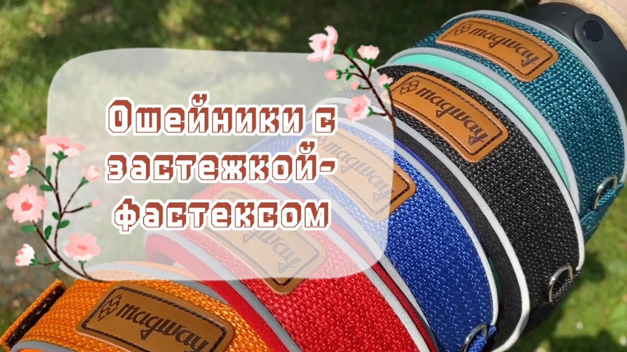 Ошейники MagWay с застежкой-фастексом