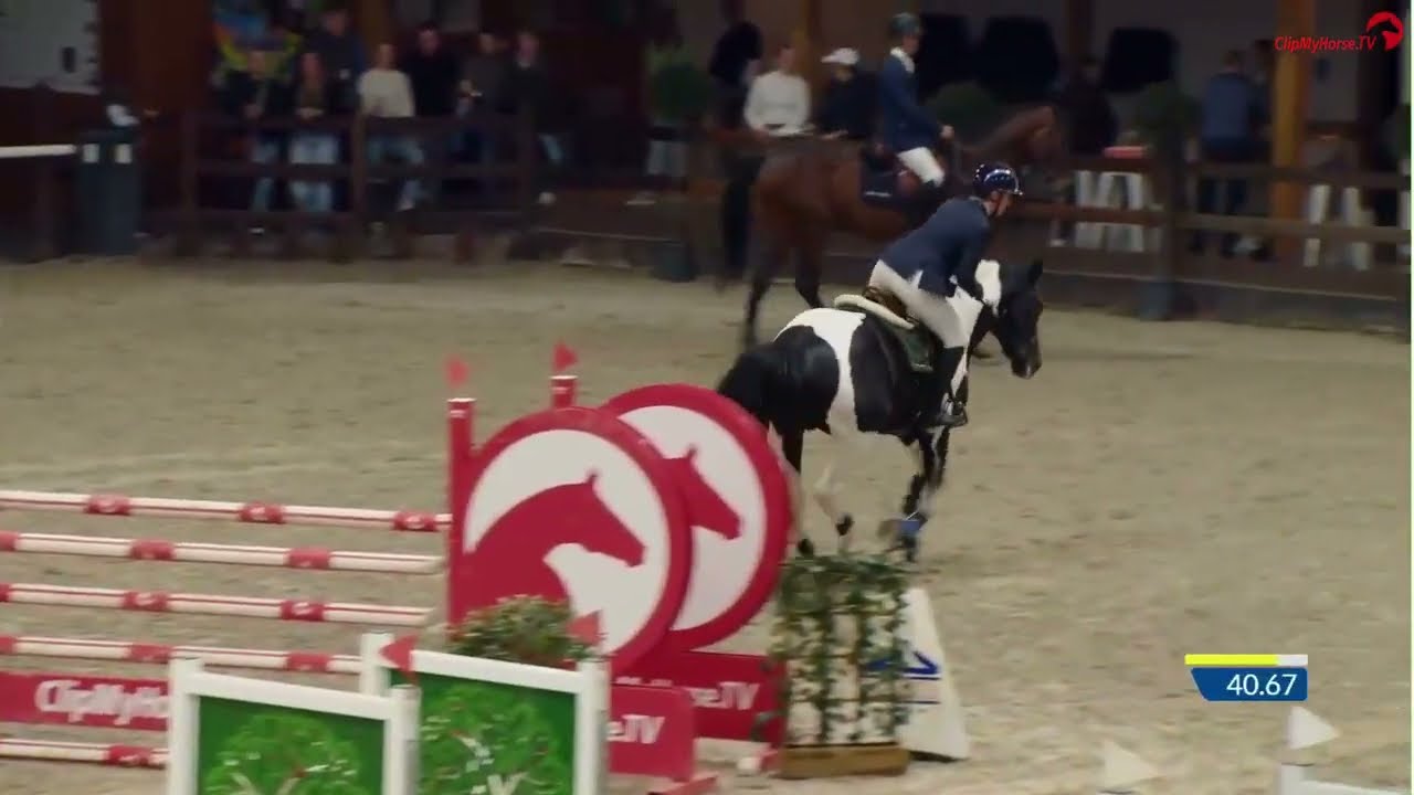 Cayenne Pepper Ter Linden- finale Hengstencompetitie Equilannoo 2025