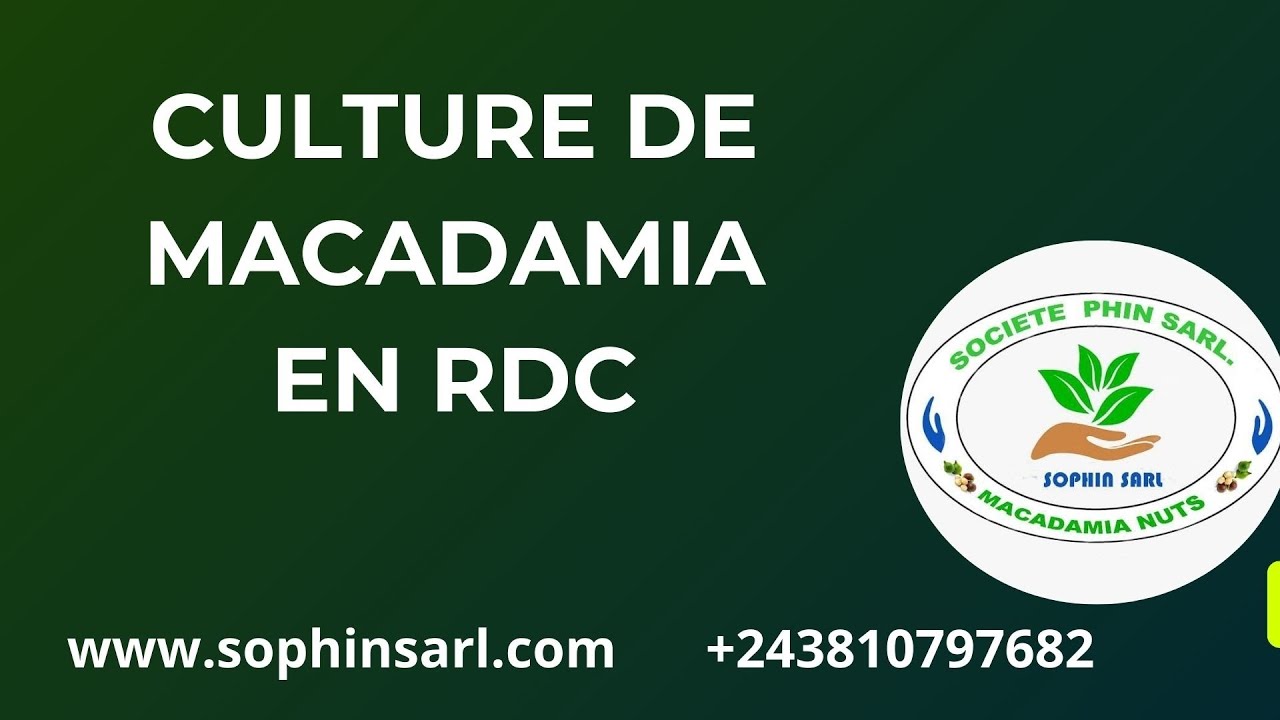 Culture de Macadamia en RDC