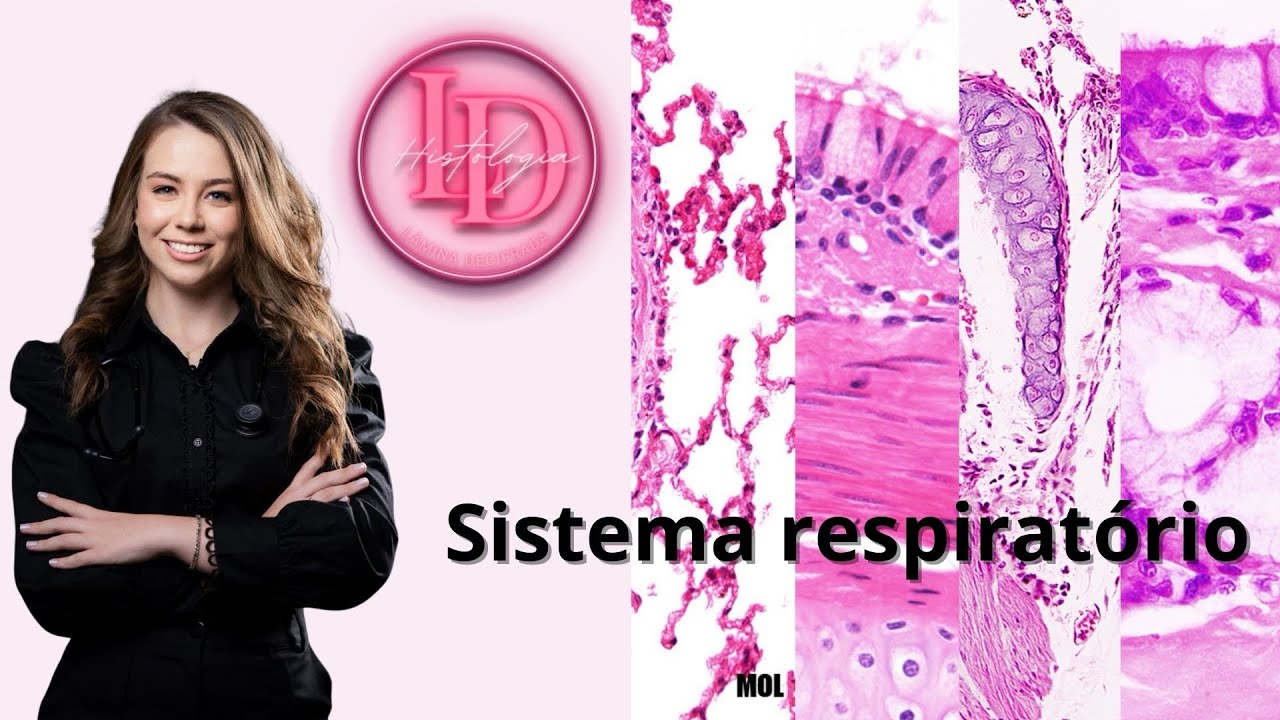 Histologia do Sistema Respiratório - Completo
