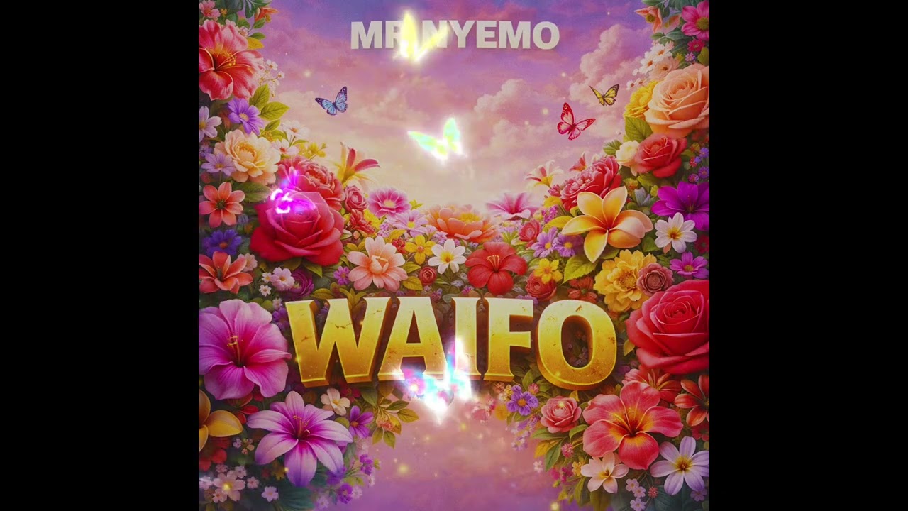 Mr.nyemo - waifo 
