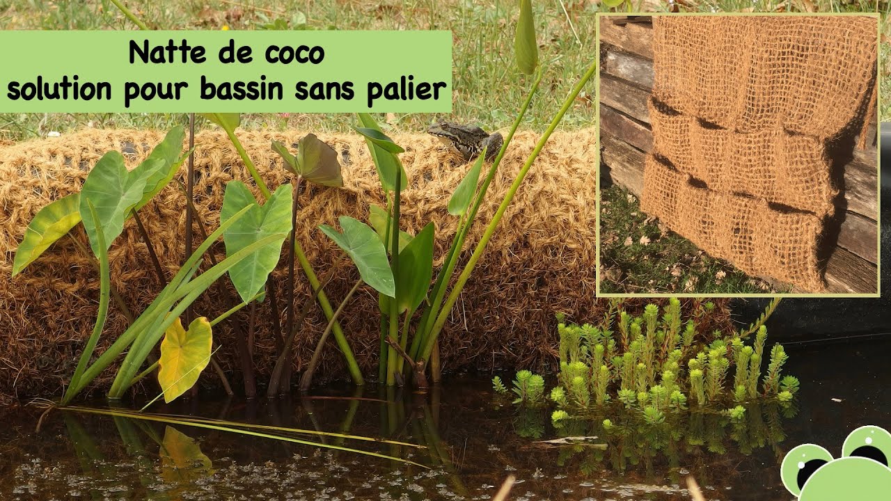 L'installation d'une natte de coco pour plantes aquatiques