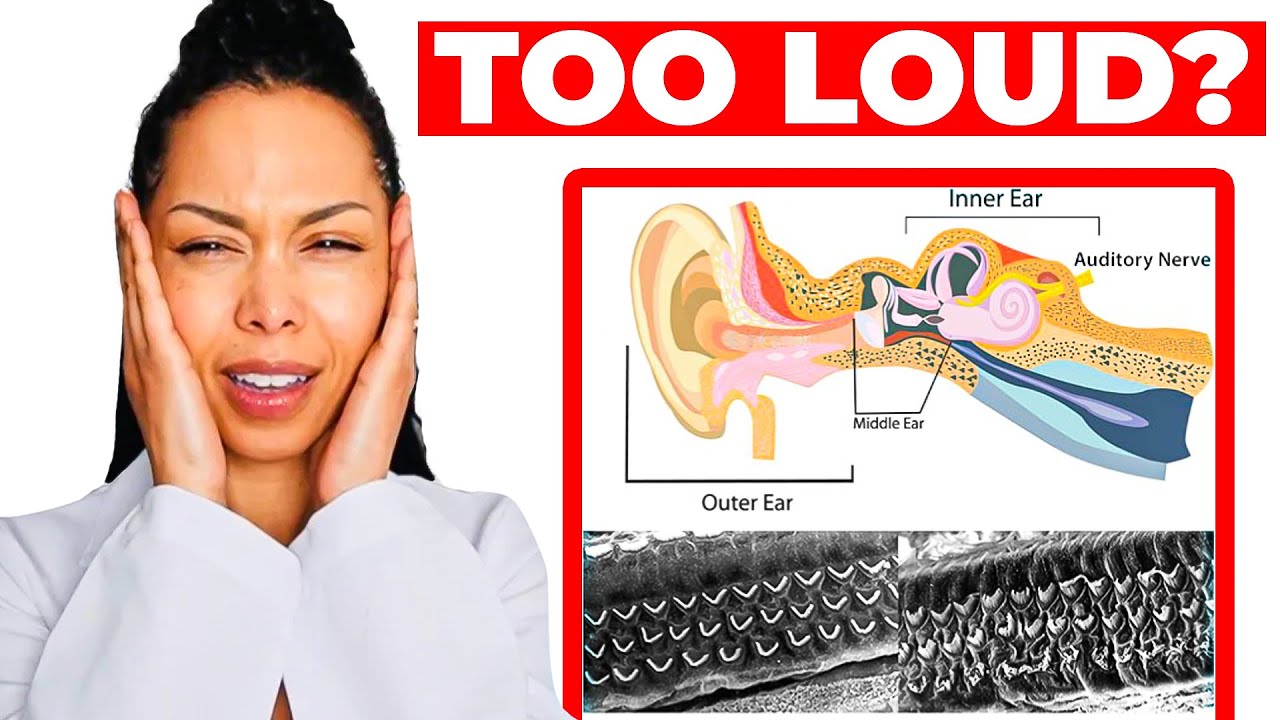 How loud noise permanently damages your hearing (even if it doesn’t hurt)