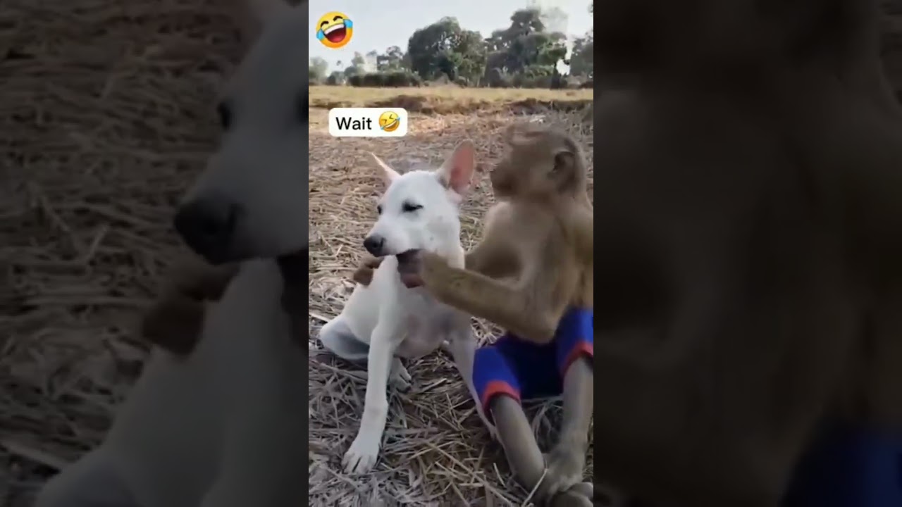 Aby isy samja de |🤣🤣