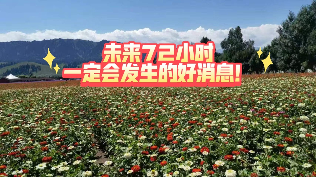 未来72小时一定会发生的好消息！（不限时空 不限关系）