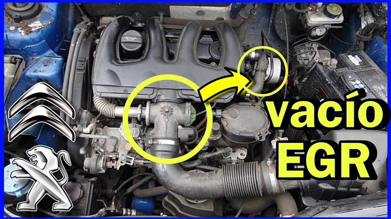 Mangueras De VACÍO Válvula EGR Peugeot partner 1.9 | Citroen berlingo | Peugeot 206 | Xsara | DW8