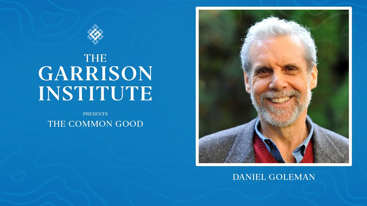 Daniel Goleman: Emotional Intelligence and the Science of Wellbeing