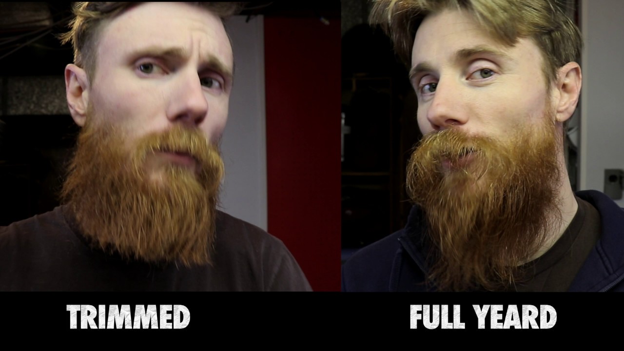 YEARD FINALE | HOW to Trim a HUGE BEARD by Yourself | DIY BEARD GROOMING & STYLING