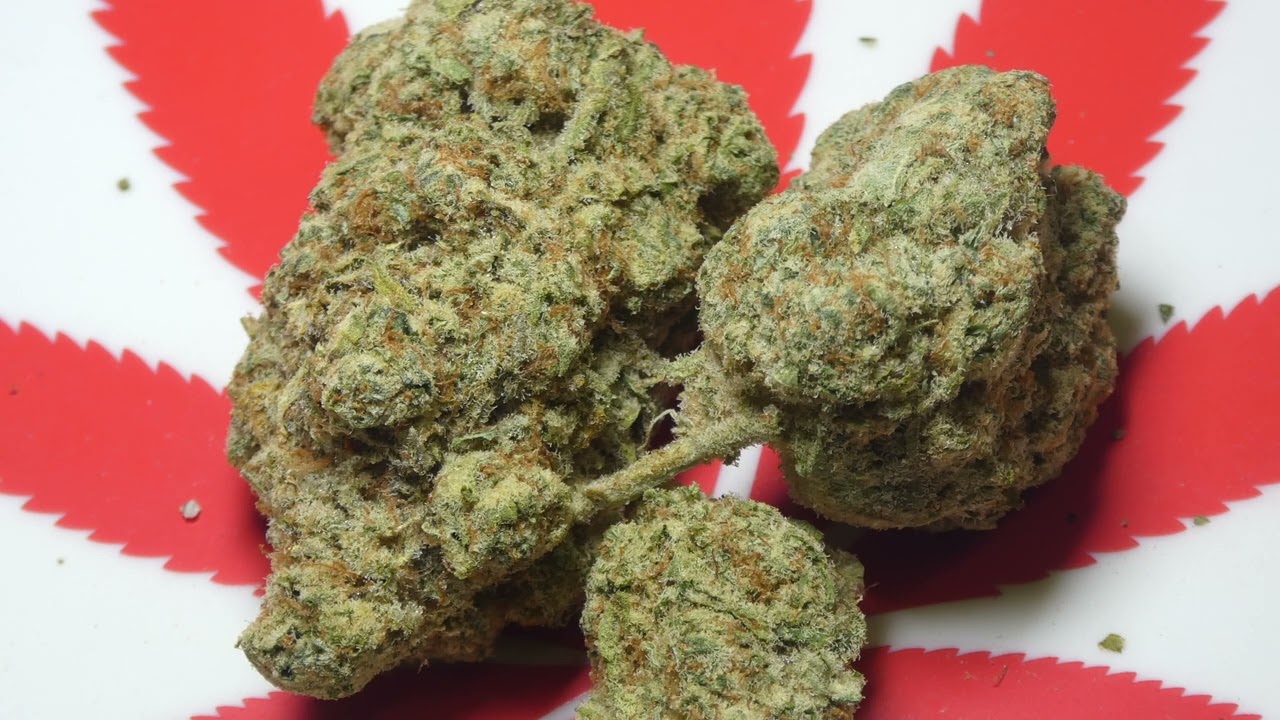 Super Lemon Haze fr CannaFirm (Smoke)