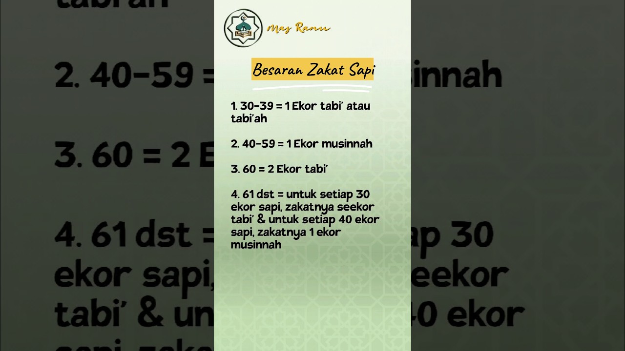 Besaran Zakat Sapi #dakwah #islam #shorts