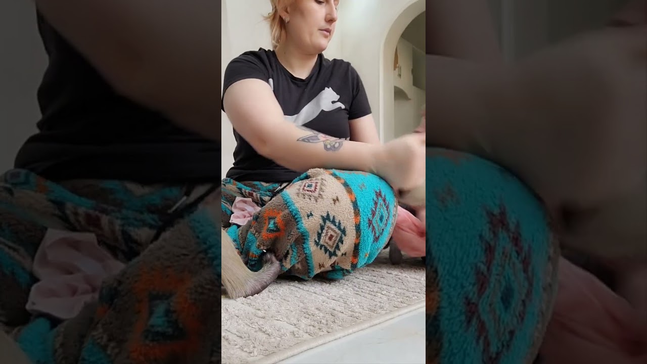 Нарядились😍😍😍