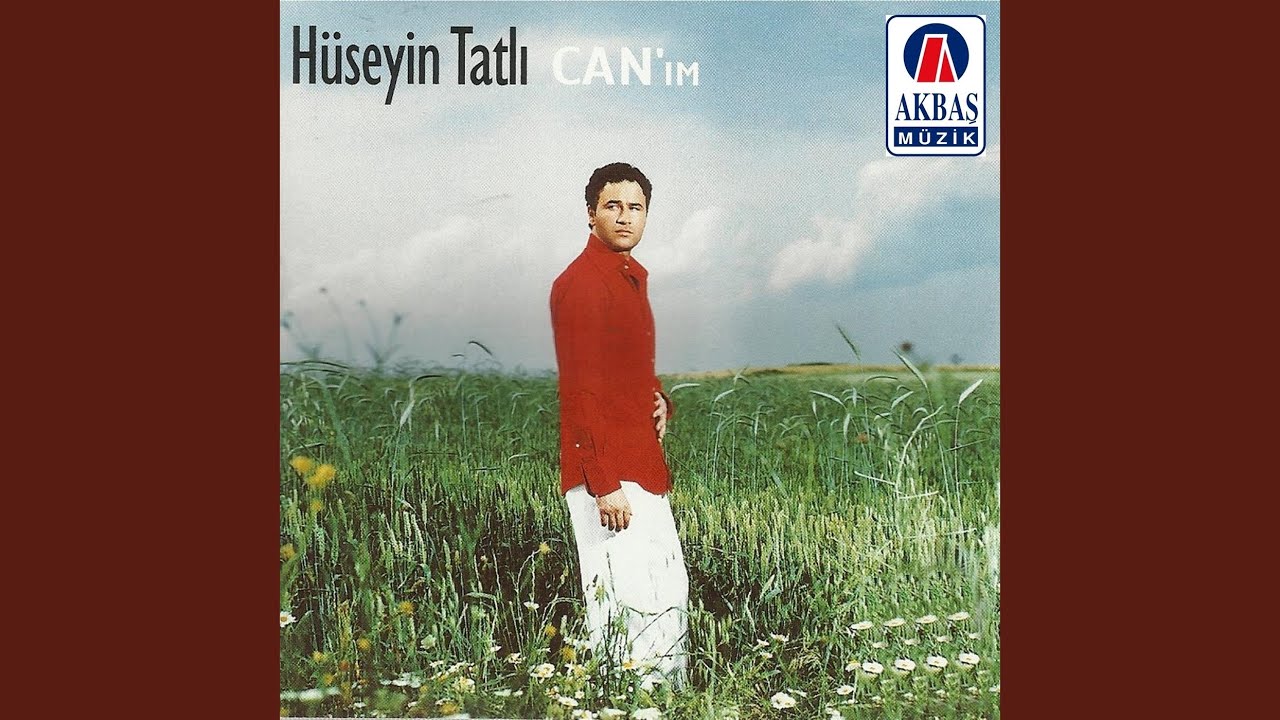 Oyuncak oldum
