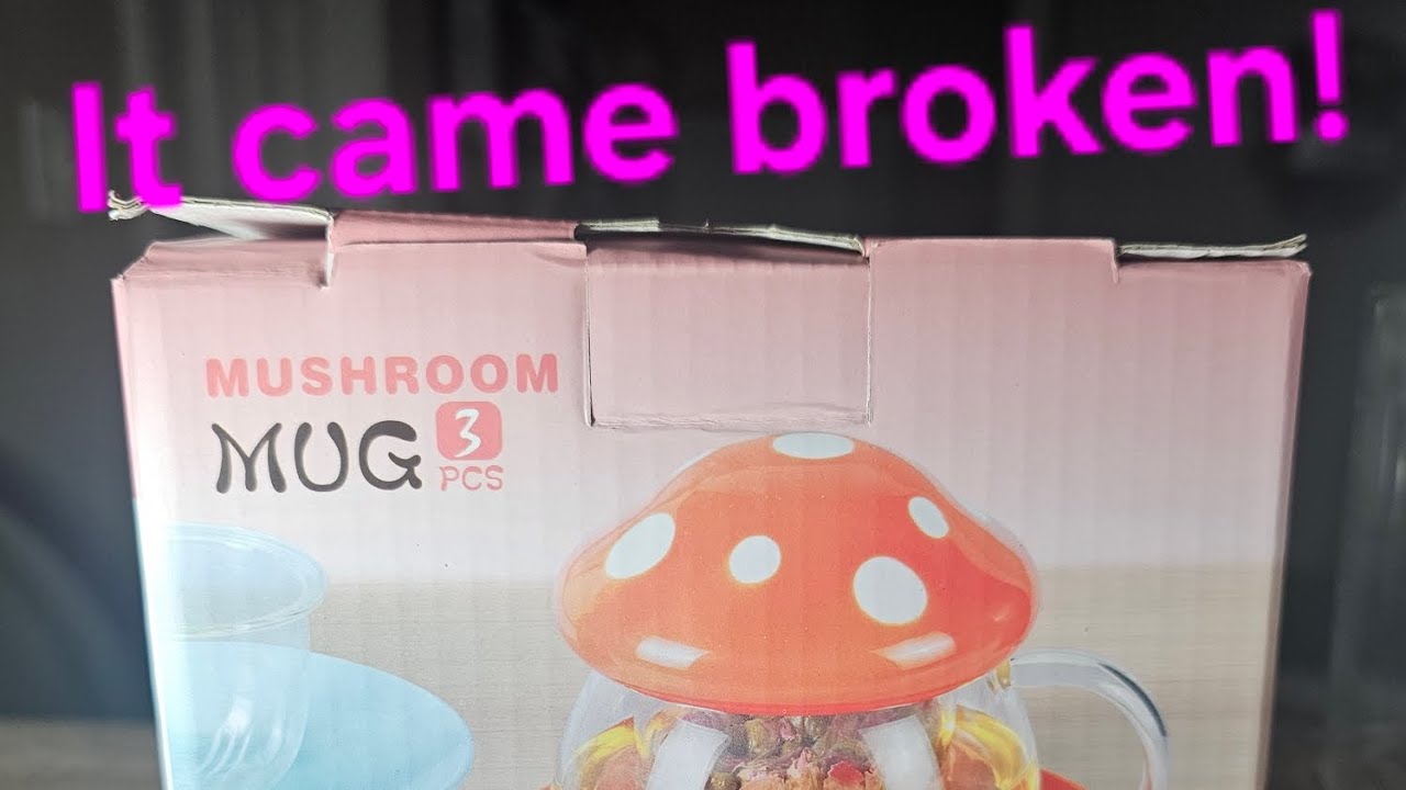 I ordered a cup for my tea from Amazon and it arrived broken!