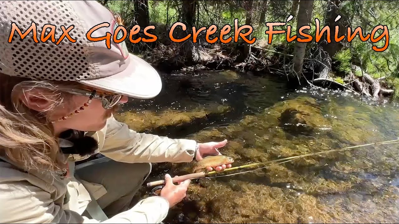 Small Stream Dry Fly Fishing with Max