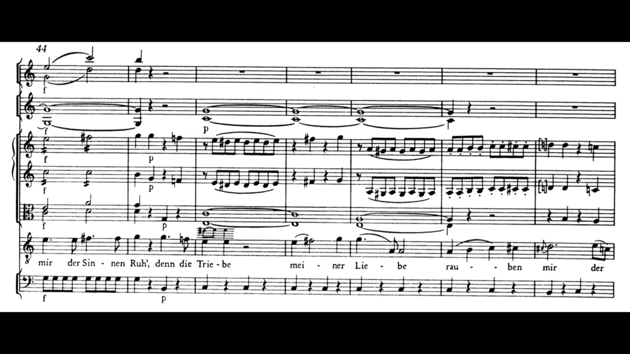 Herr und Freund, wie dank ich dir! (Zaide - W.A. Mozart) Score Animation