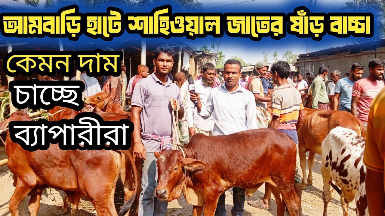 @৩১/১০/২৫