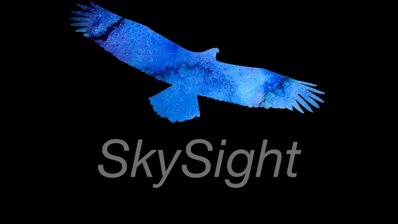 SkySight 101 - Point Forecast