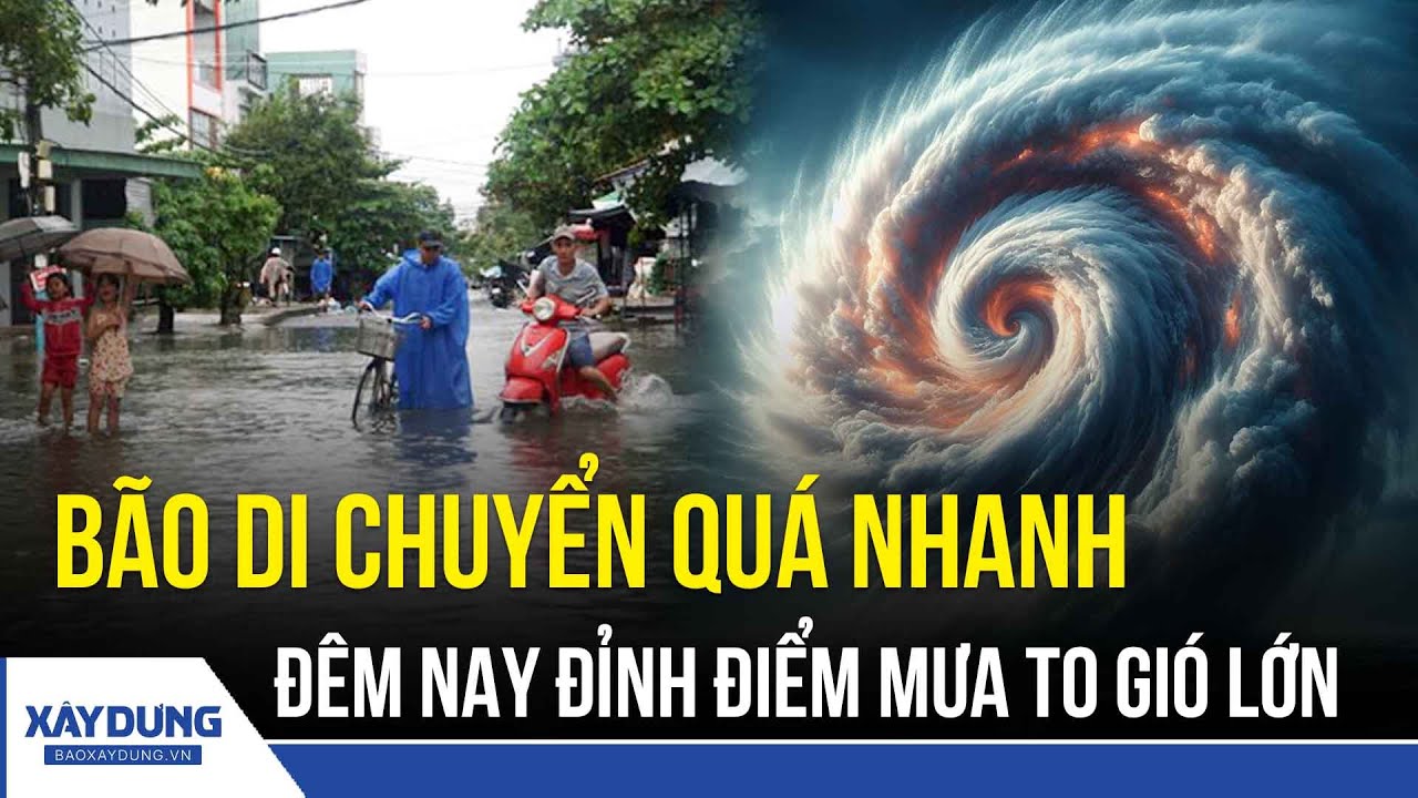 Kalmaegi g&acirc;y mưa cực lớn, lũ c&oacute; thể l&ecirc;n tr&ecirc;n b&aacute;o động 3 ở nhiều s&ocirc;ng | BXD