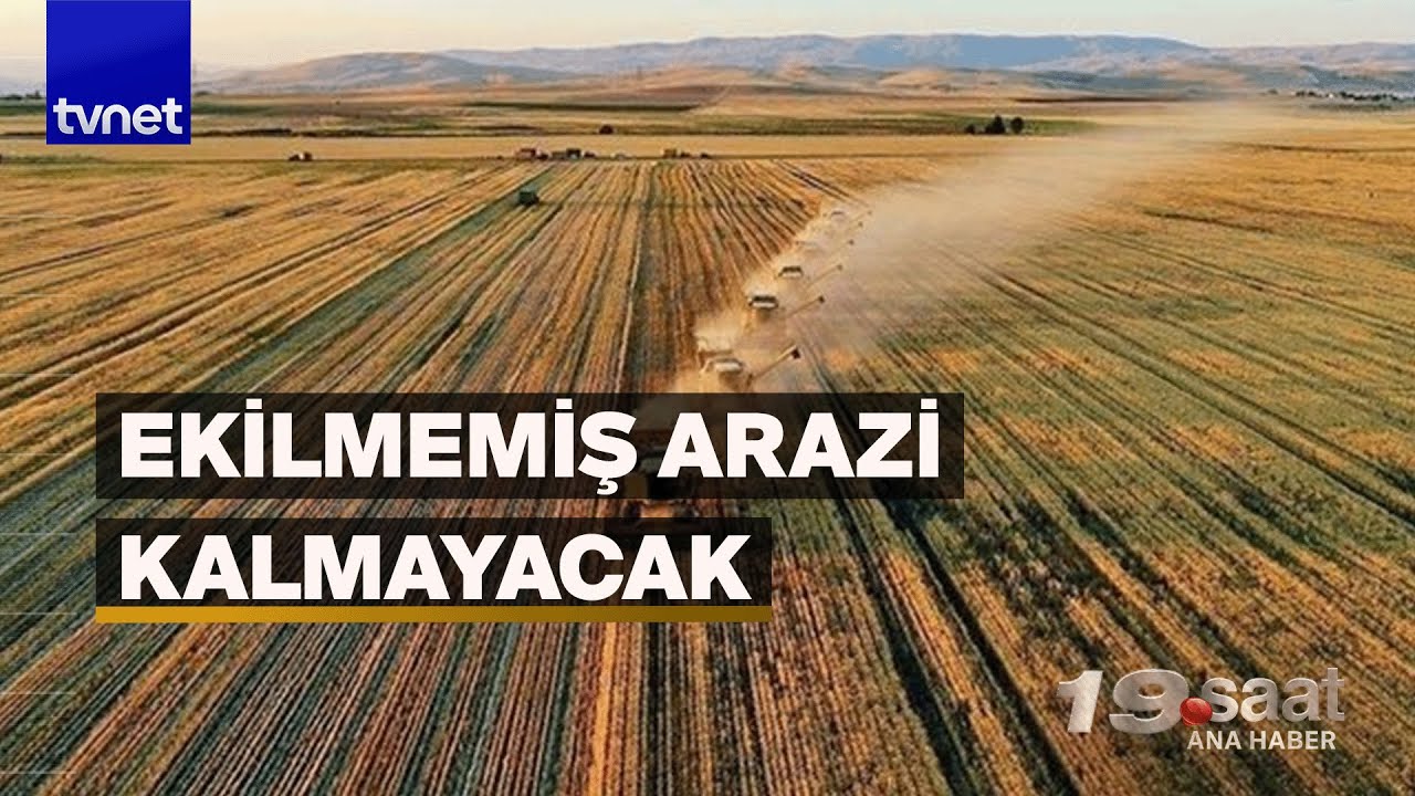 Tarım sayımı başlıyor: TÜİK tarımda güncel verileri toplayacak