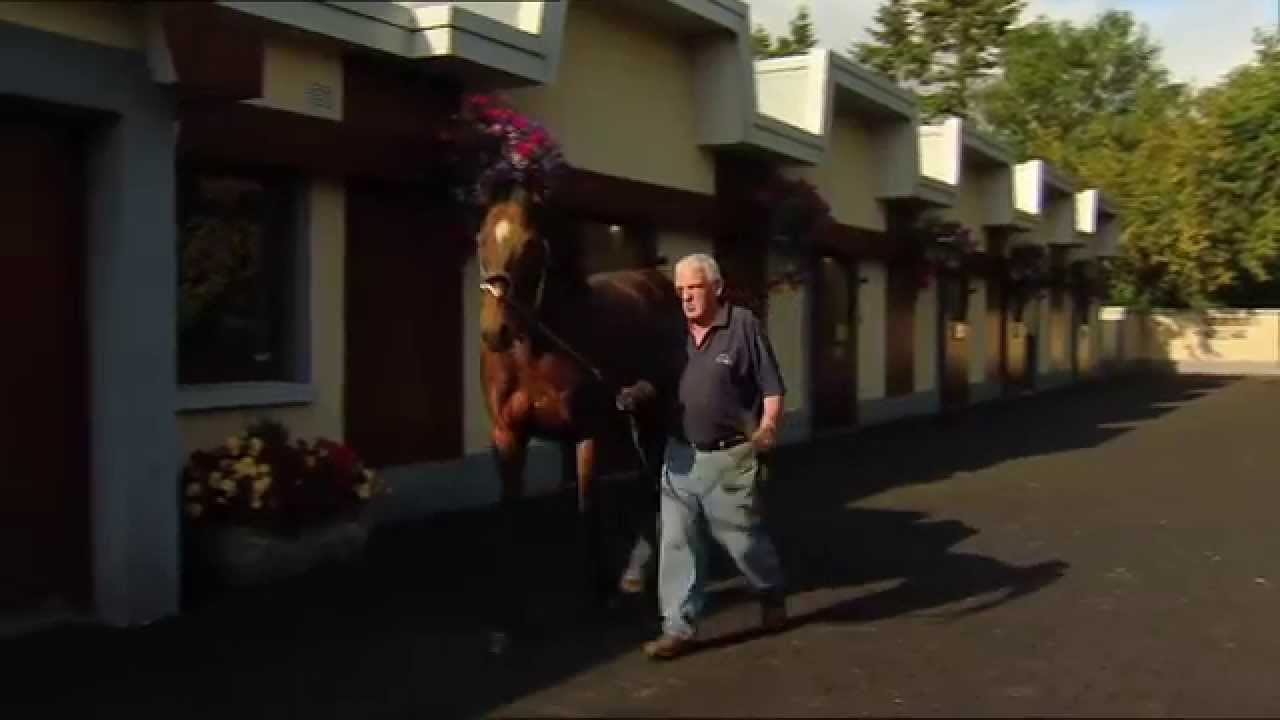 #DubaiRacing- Inside the Irish National Stud
