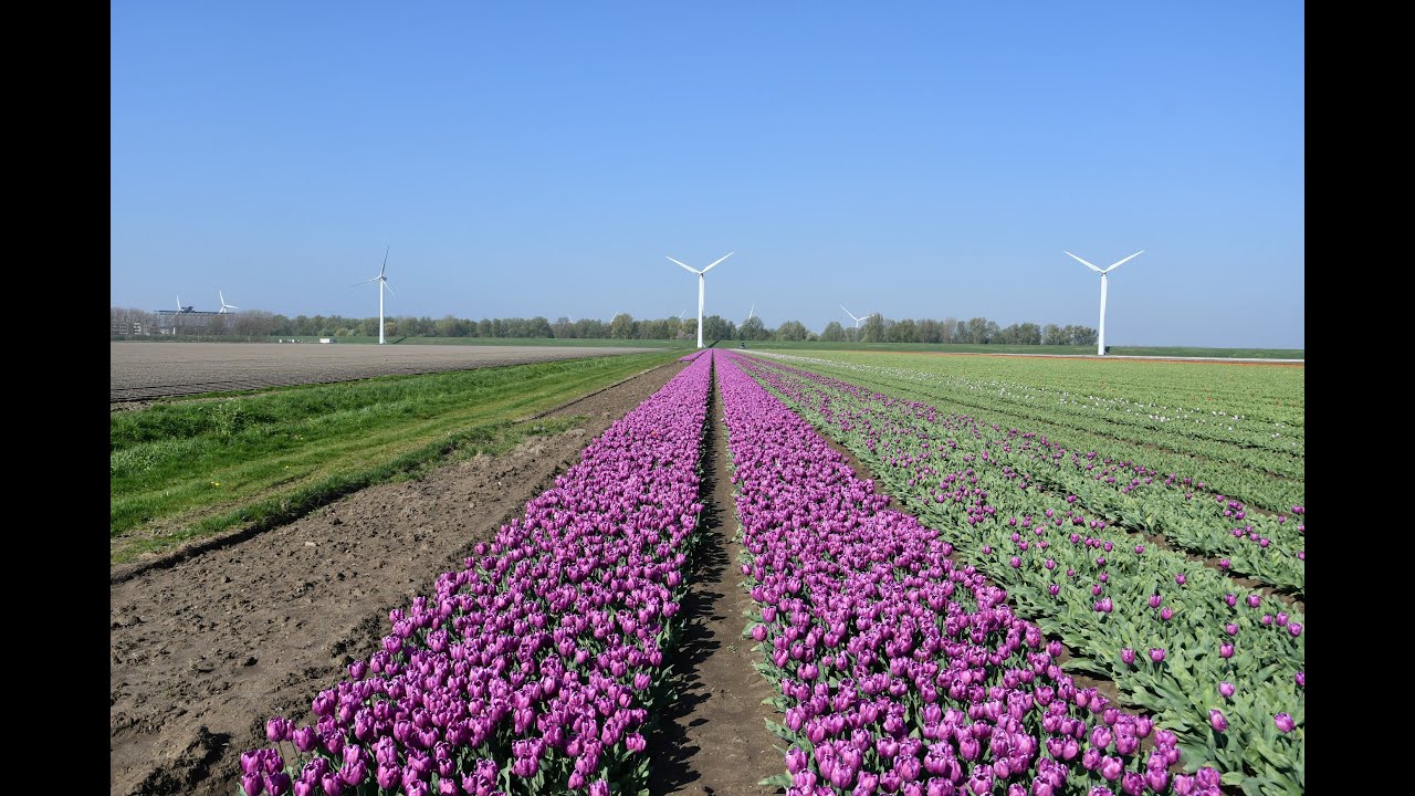 Belgien und die Niederlande mit dem Wohnmobil