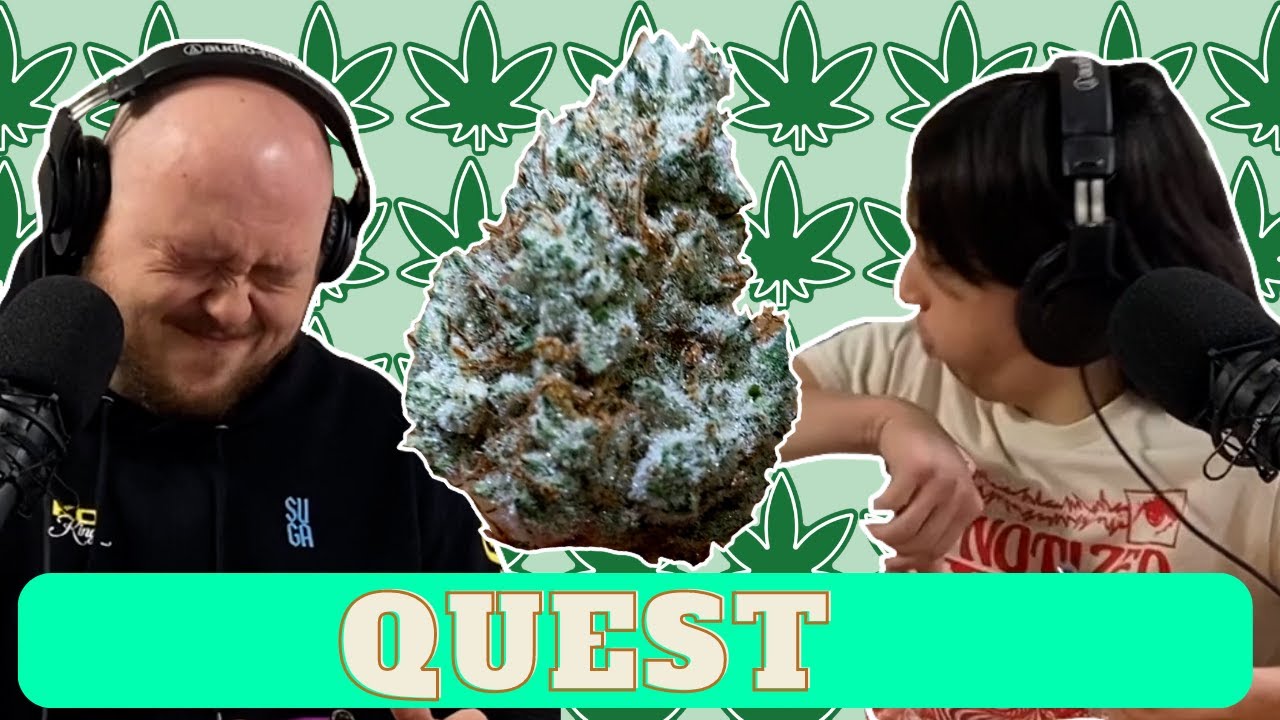 Quest Review Sativa Dominant