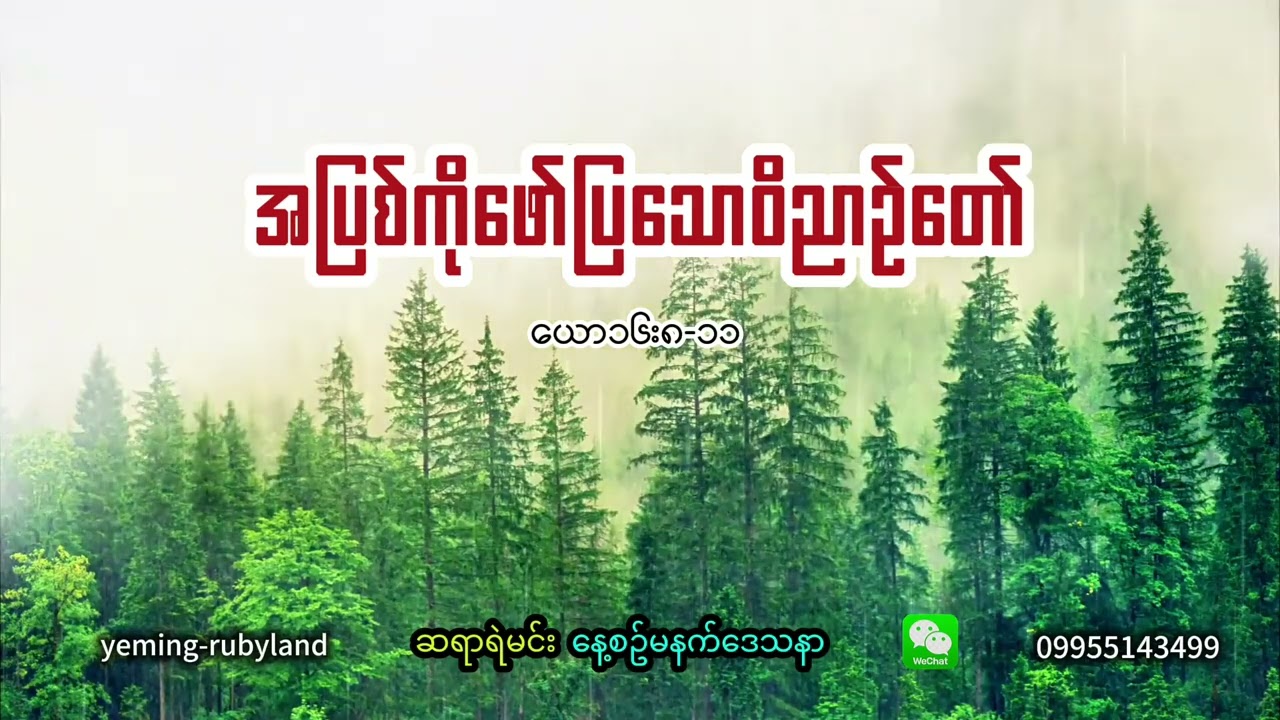 အပြစ်ကိုဖော်ပြသောဝိညာဥ်တော်