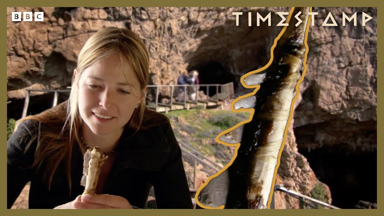 &lsquo;Lethal Weapons&rsquo; Discovered In 160,000-year-old Dwelling | Human Journey | BBC Timestamp