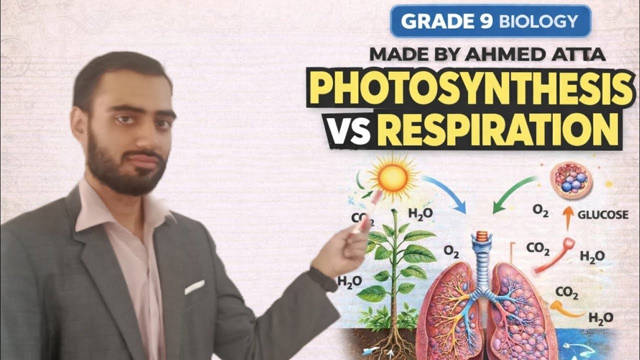 Grade 9 Biology | Unit 6 Lecture 4 |Photosynthesis vs Respiration | Complete Comparison