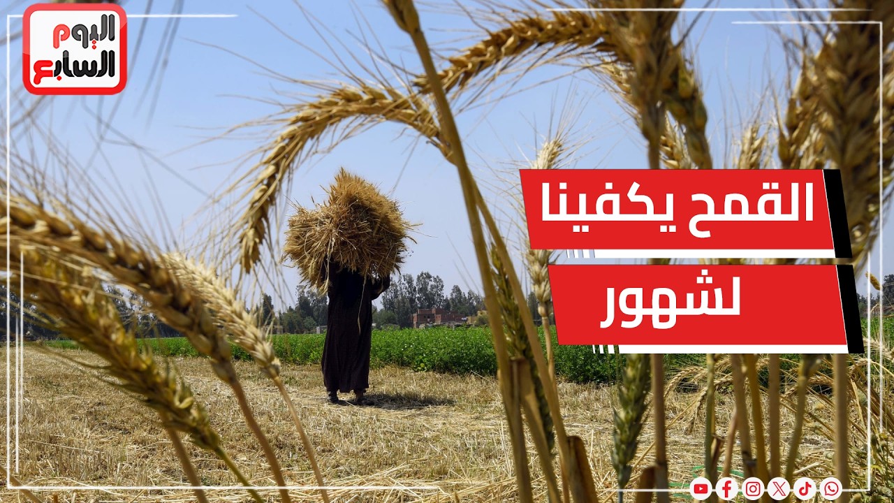 وزير التموين : مخزون القمح يكفى لشهور وتشديد الرقابة لمنع استغلال الأوضاع