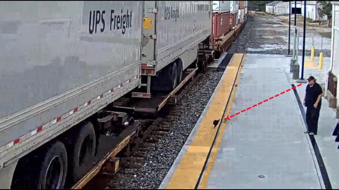 FAST TRAIN CLAIMS TWO HATS!!!  LA PLATA, MO