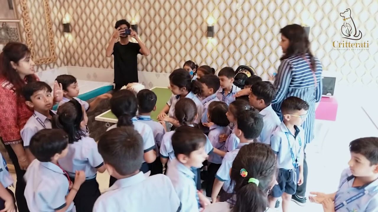 School Visit at Critterati