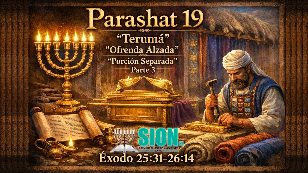 Parashat 19 