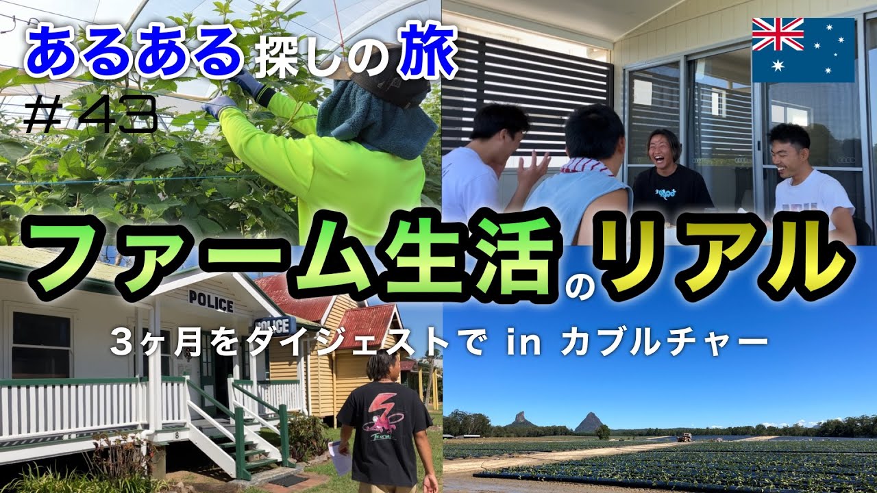 【Vlog】ワーホリファームジョブシェアハウス生活3ヶ月のリアルinオーストラリア カブルチャー