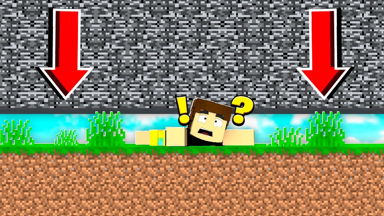 Minecraft But BEDROCK Is Forcing Us DOWN! (Dangerous)