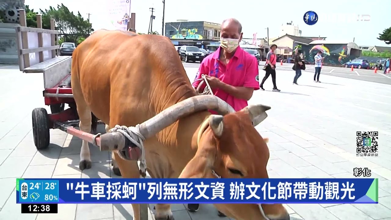 體驗古早漁村採蚵 彰化