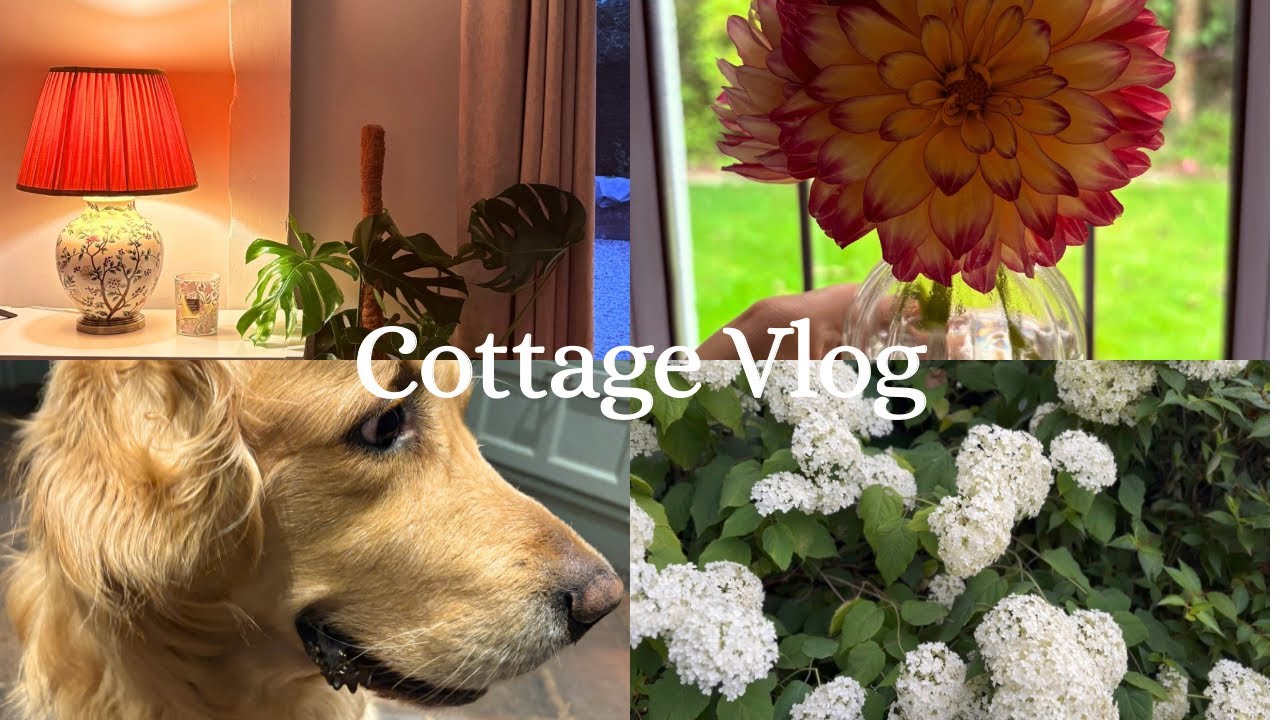 Cottage Vlog: shoe storage, monstera plant and new lamps