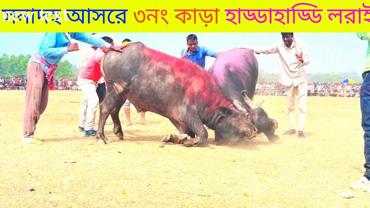 ১৭ ই মাঘ সনাদহ আসরে ৩নং সবচেয়ে খাতার নাক কাড়া লরাই #karalorai #ajker 