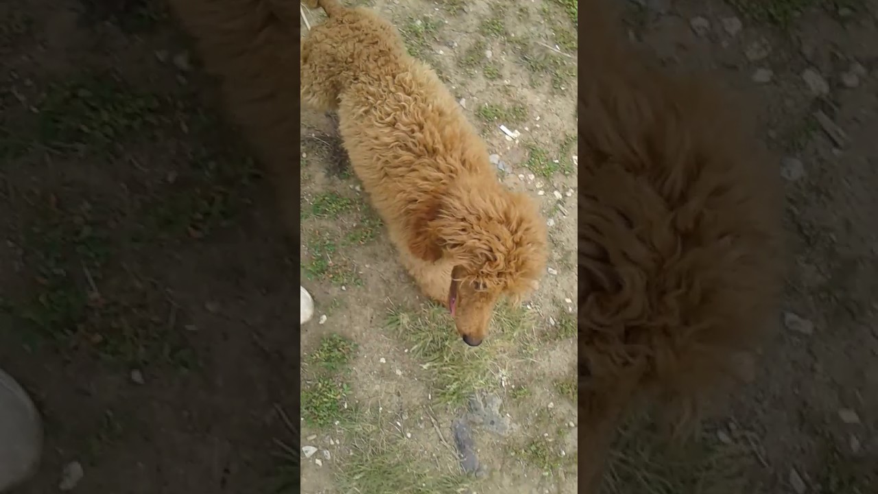 20170712 1523351