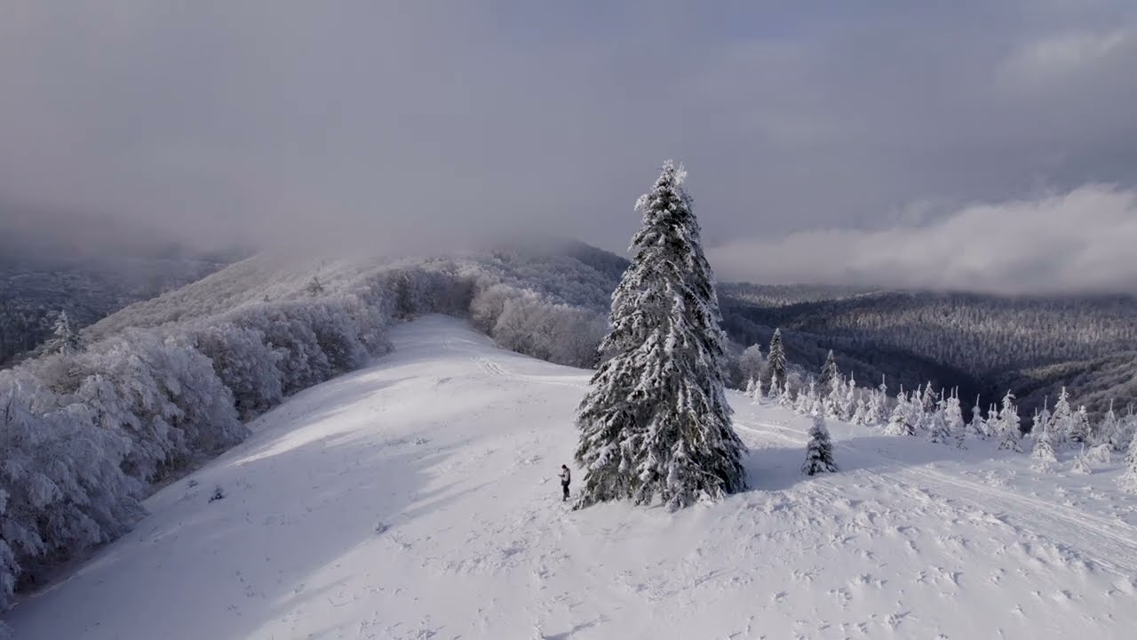 Vârful Grecului ( munții Bucegi )