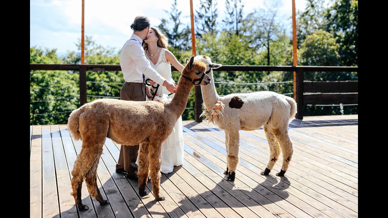 Boho Hochzeit auf der Hallgarter Zange
