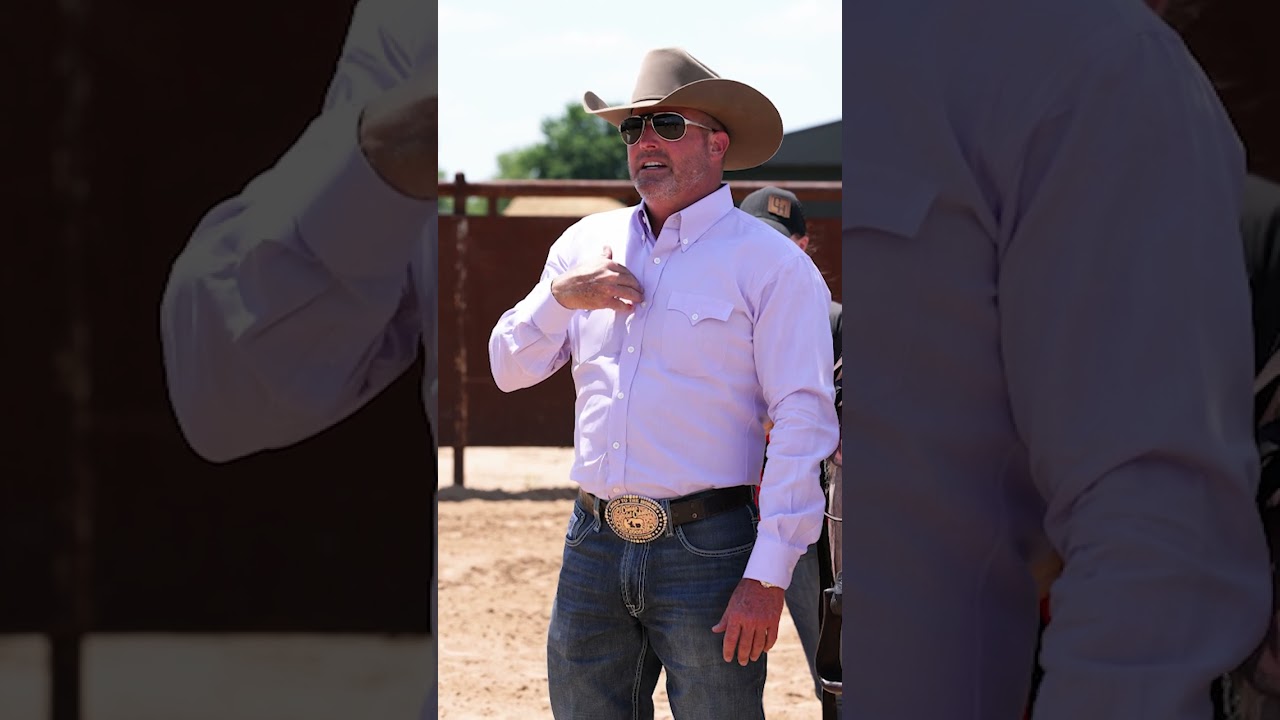 How to Properly Tighten the Cinch When Saddling Your Horse