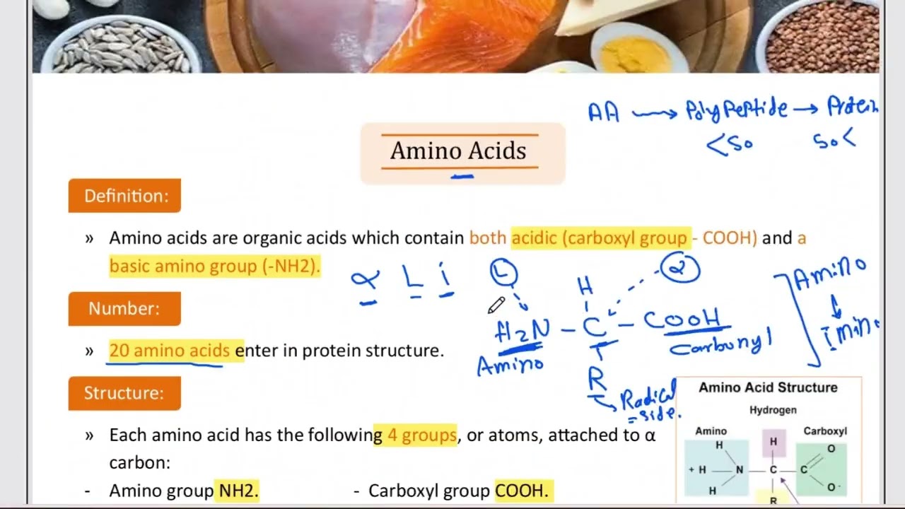 Protein chemistry revision | premium