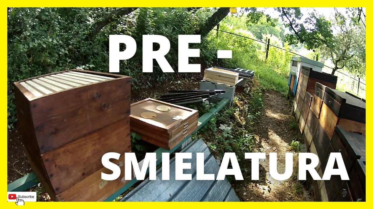 Operazioni di pre-smielatura