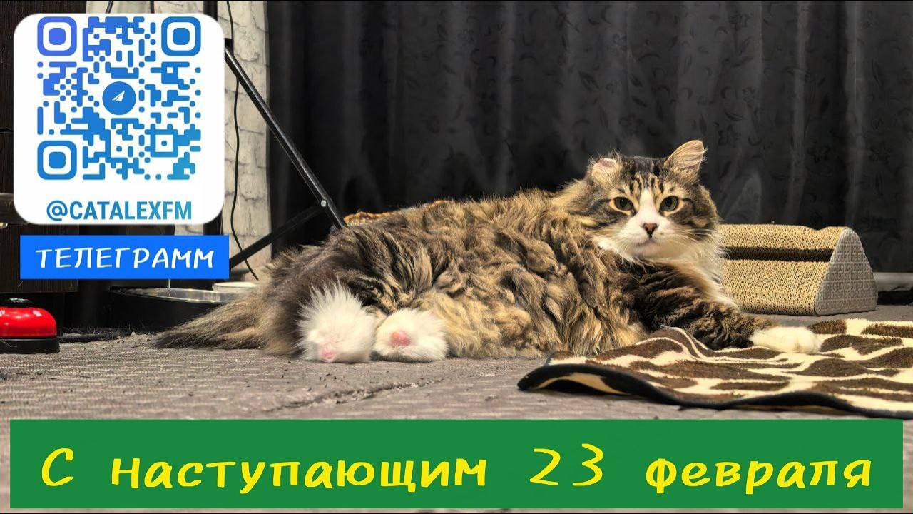 С наступающим