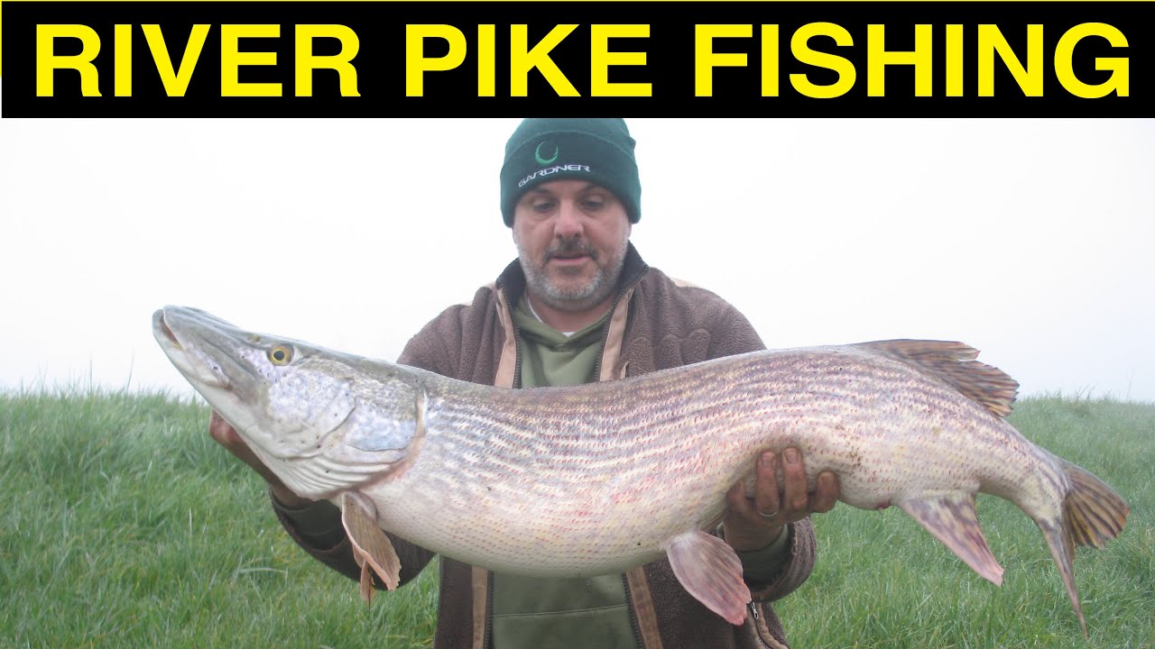 River Pike Fishing Part 1