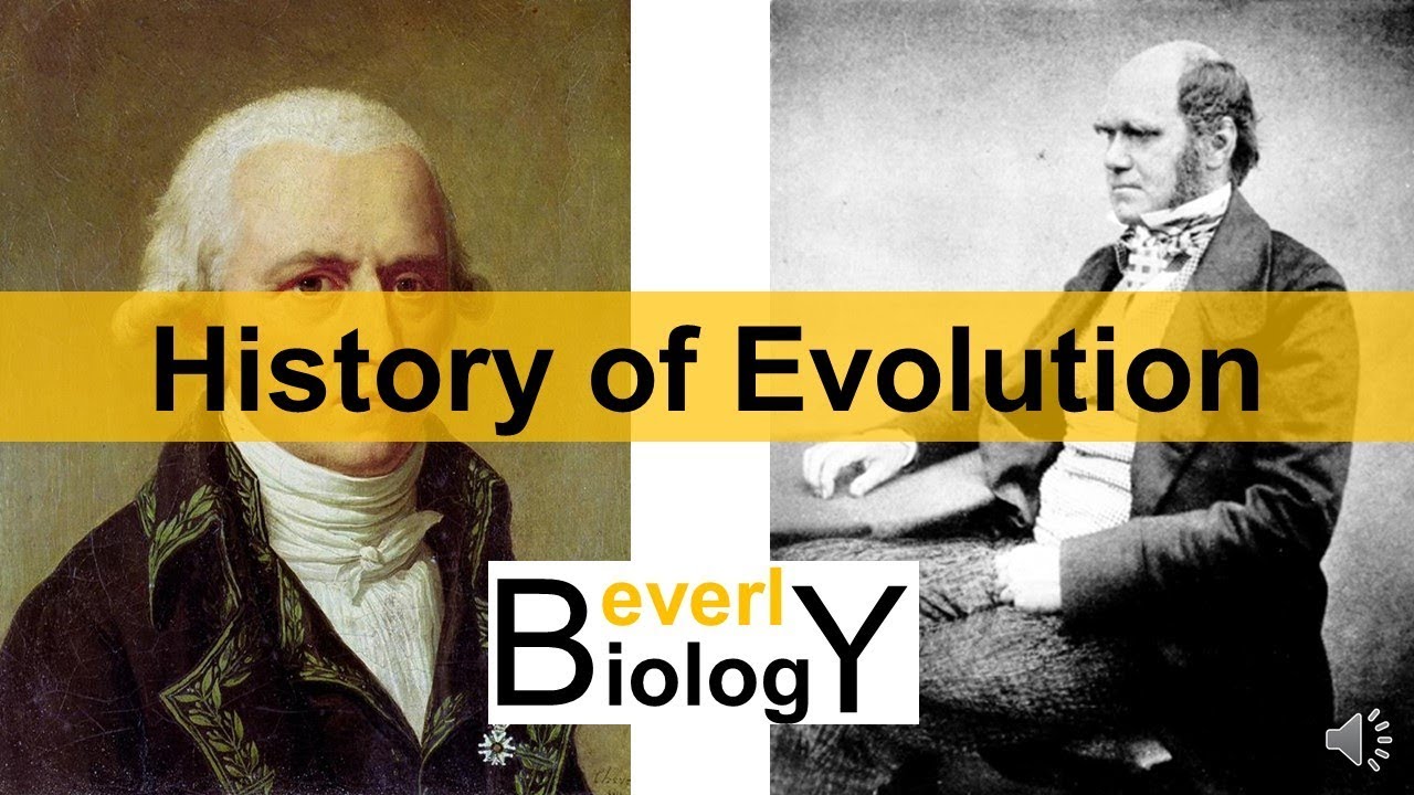 History of Evolution (updated)