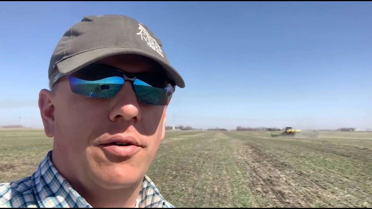No-Till Sugar Beets