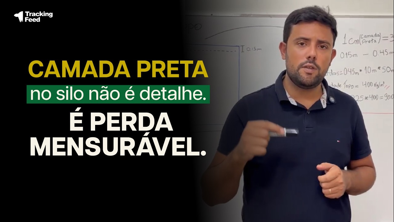 Camada preta no silo não é detalhe. É perda mensurável